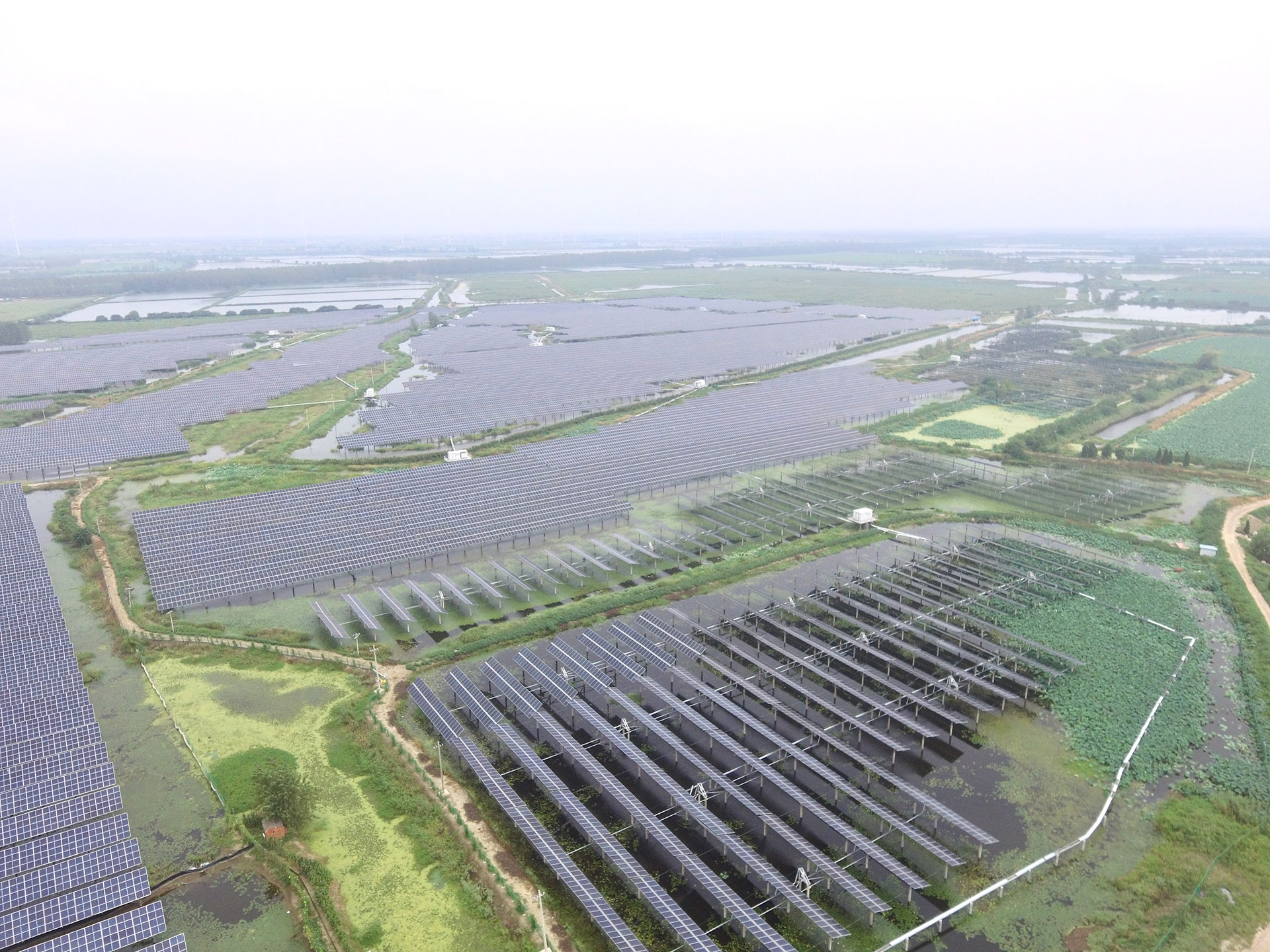K8·凯发科技江苏扬州宝应光伏发电应用领跑基地2号100兆瓦项目